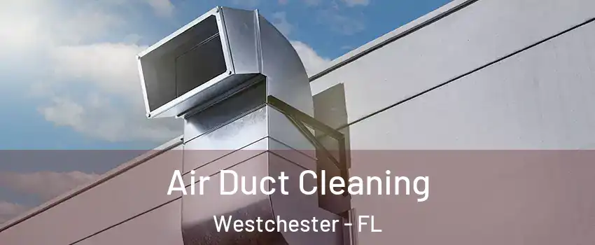  Air Duct Cleaning Westchester - FL