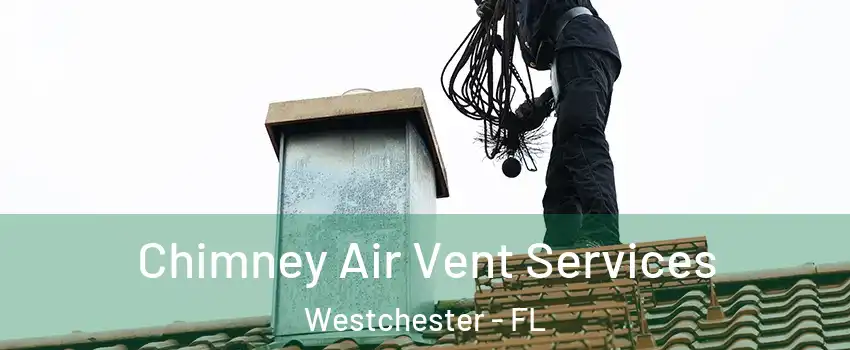  Chimney Air Vent Services Westchester - FL