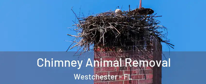 Chimney Animal Removal Westchester - FL
