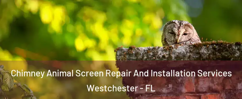  Chimney Animal Screen Repair And Installation Services Westchester - FL