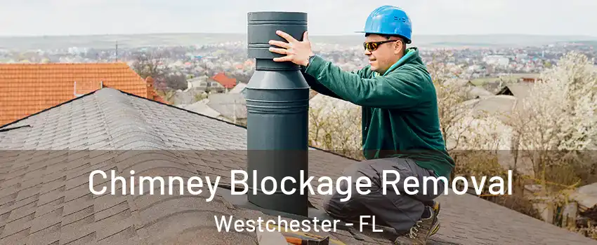  Chimney Blockage Removal Westchester - FL