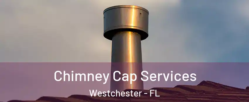  Chimney Cap Services Westchester - FL