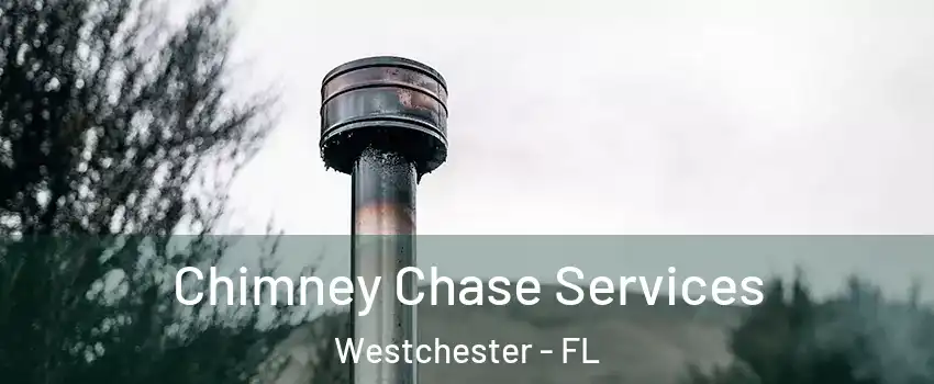 Chimney Chase Services Westchester - FL