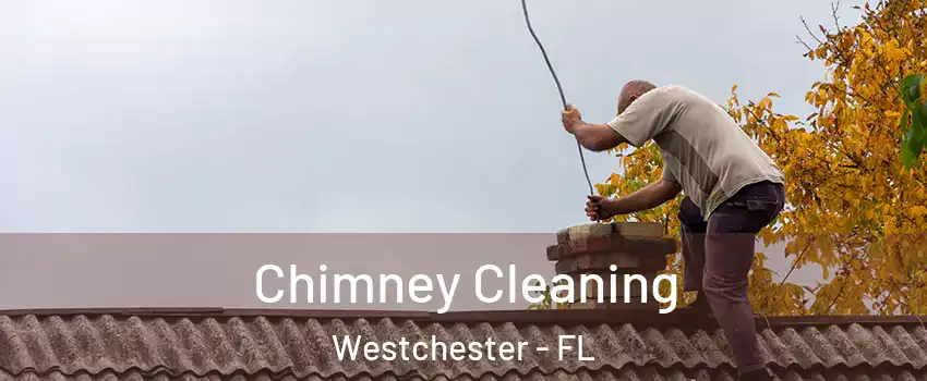  Chimney Cleaning Westchester - FL
