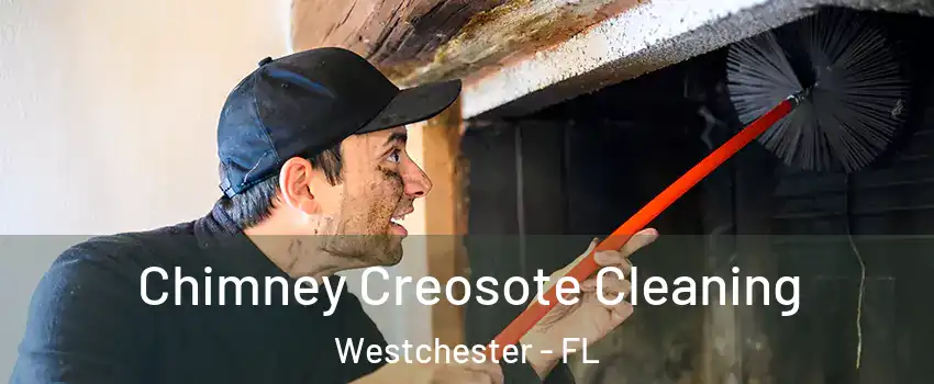  Chimney Creosote Cleaning Westchester - FL