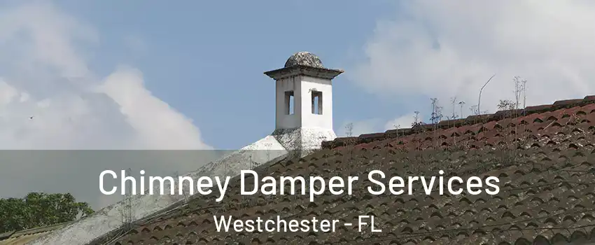  Chimney Damper Services Westchester - FL