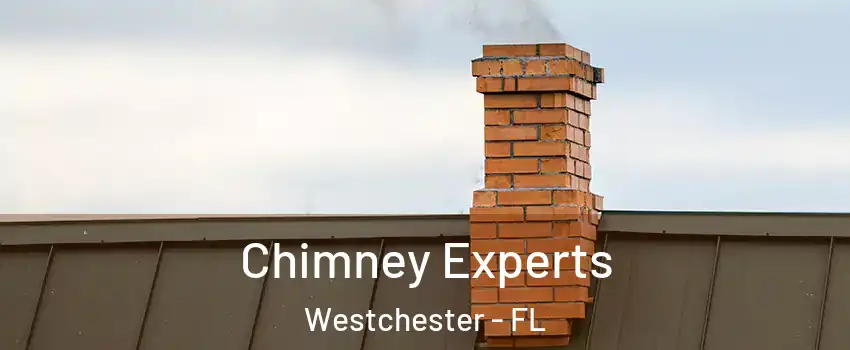 Chimney Experts Westchester - FL