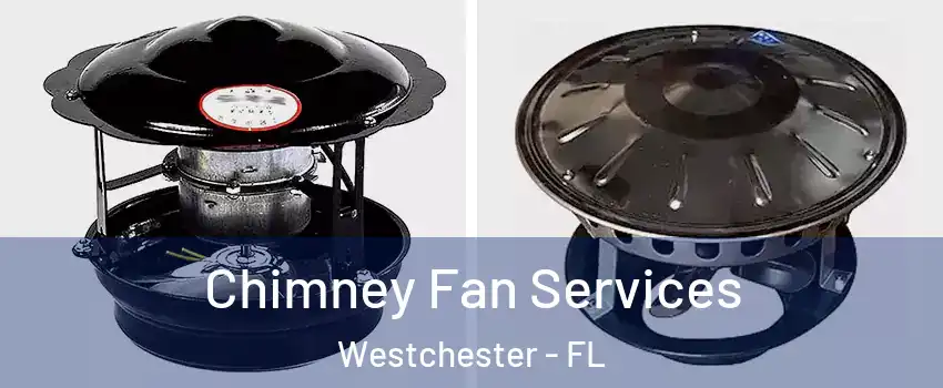  Chimney Fan Services Westchester - FL