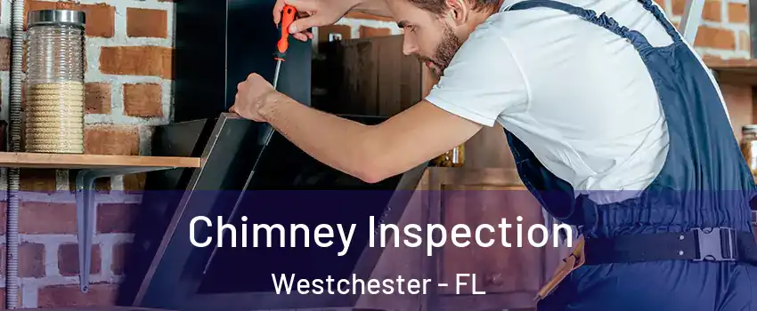  Chimney Inspection Westchester - FL
