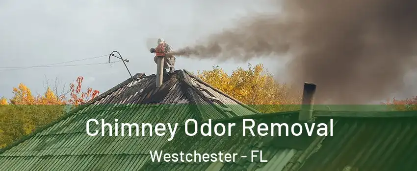  Chimney Odor Removal Westchester - FL