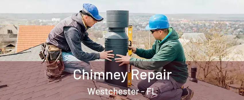  Chimney Repair Westchester - FL