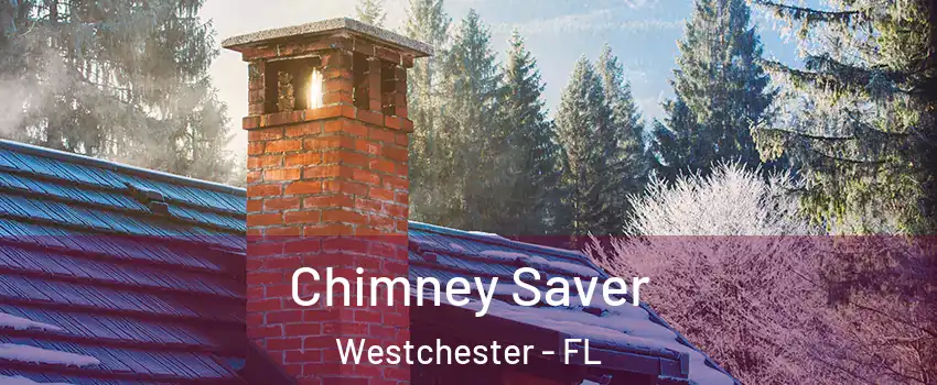 Chimney Saver Westchester - FL