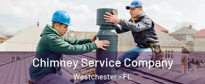  Chimney Service Company Westchester - FL