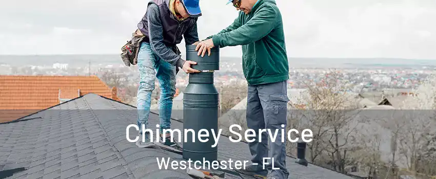  Chimney Service Westchester - FL