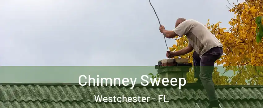  Chimney Sweep Westchester - FL