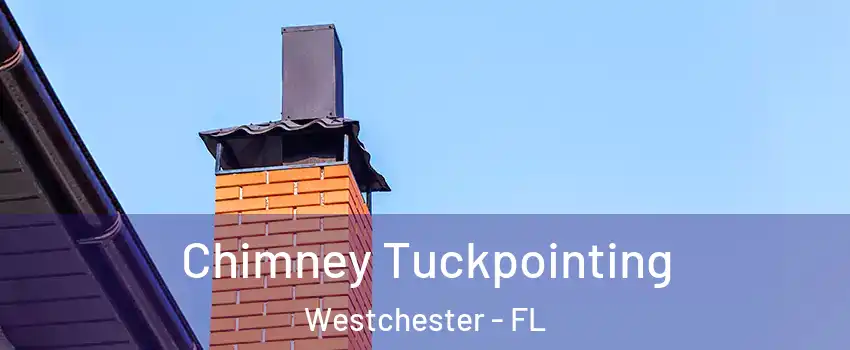  Chimney Tuckpointing Westchester - FL