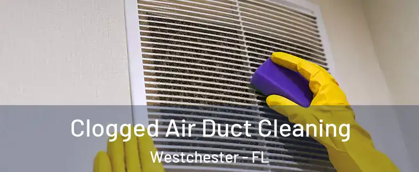  Clogged Air Duct Cleaning Westchester - FL