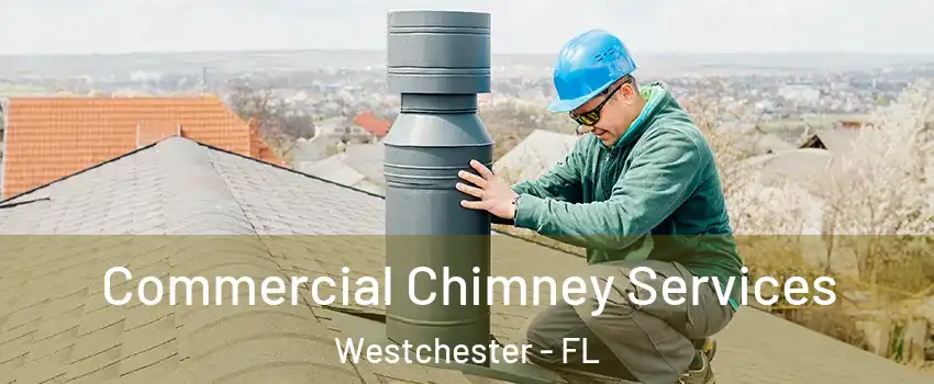  Commercial Chimney Services Westchester - FL