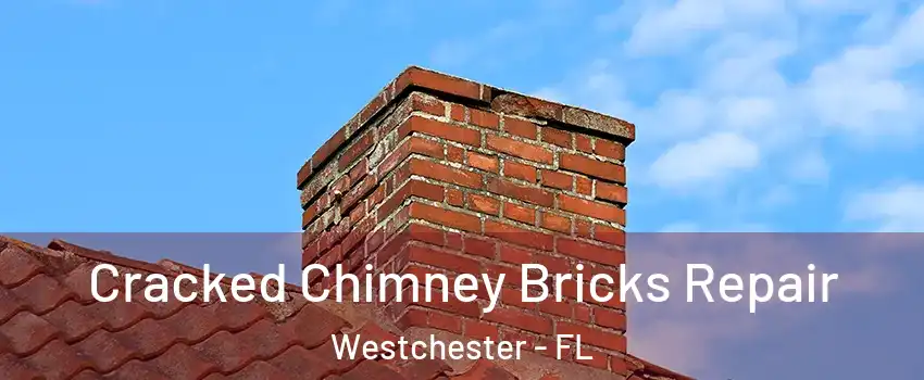  Cracked Chimney Bricks Repair Westchester - FL