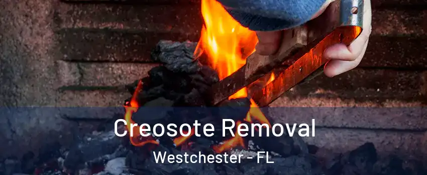 Creosote Removal Westchester - FL