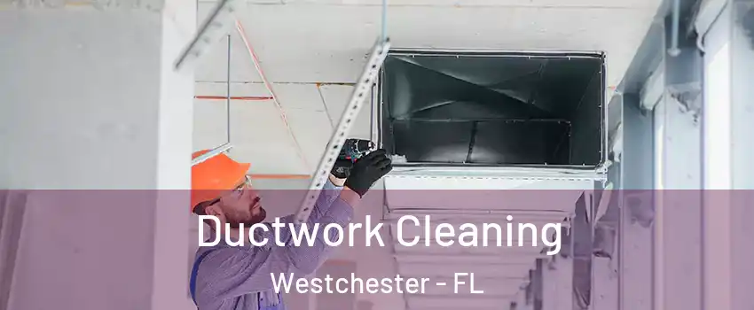  Ductwork Cleaning Westchester - FL