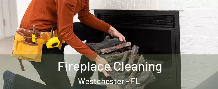  Fireplace Cleaning Westchester - FL
