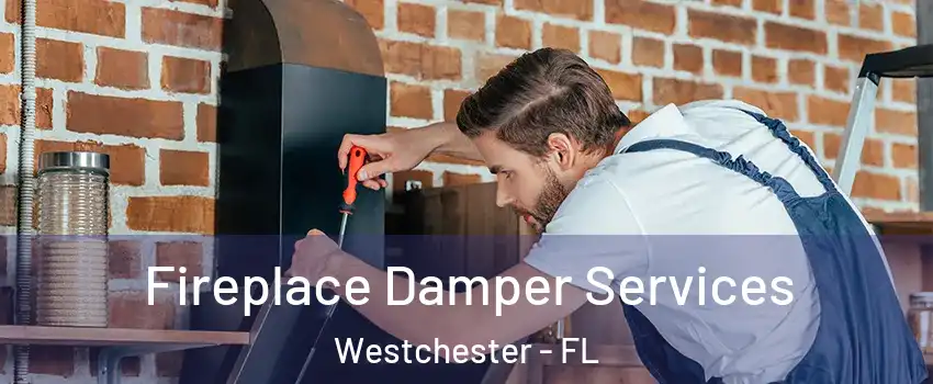  Fireplace Damper Services Westchester - FL