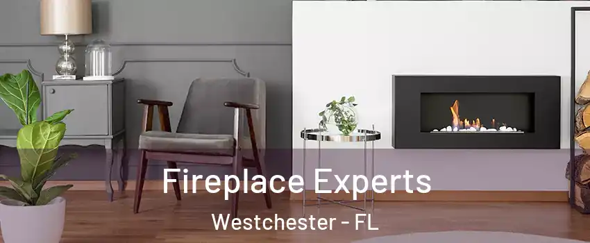  Fireplace Experts Westchester - FL