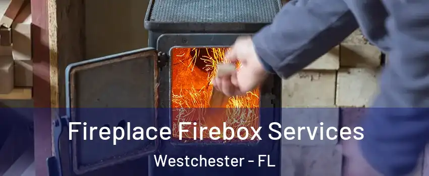  Fireplace Firebox Services Westchester - FL