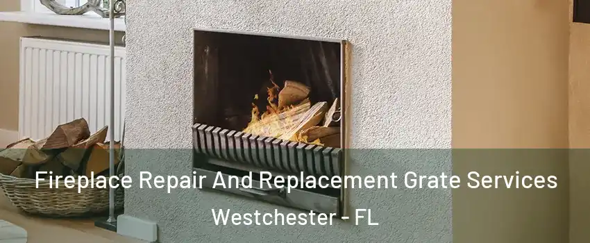  Fireplace Repair And Replacement Grate Services Westchester - FL