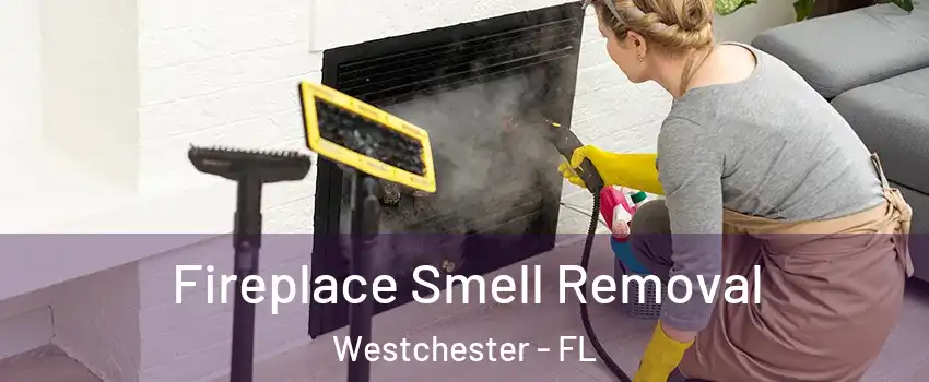  Fireplace Smell Removal Westchester - FL