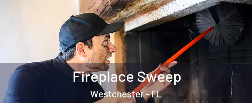  Fireplace Sweep Westchester - FL