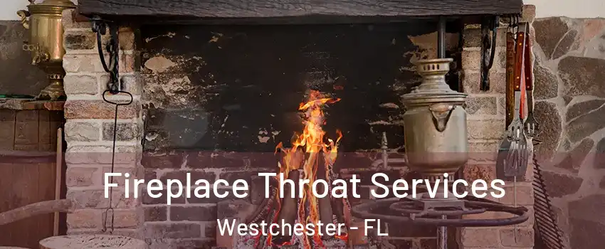  Fireplace Throat Services Westchester - FL