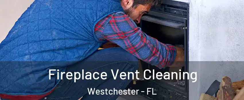  Fireplace Vent Cleaning Westchester - FL
