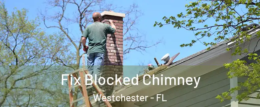  Fix Blocked Chimney Westchester - FL