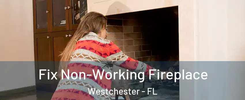  Fix Non-Working Fireplace Westchester - FL