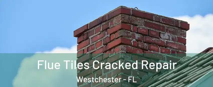  Flue Tiles Cracked Repair Westchester - FL