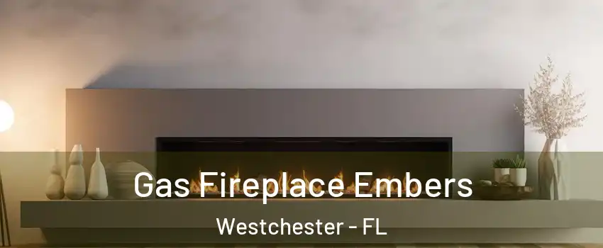  Gas Fireplace Embers Westchester - FL