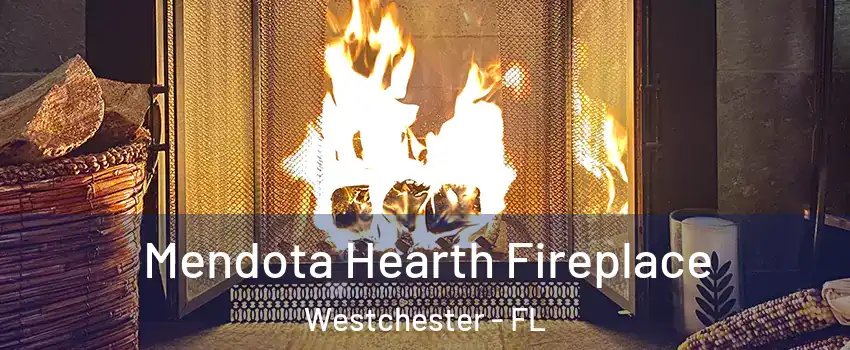  Mendota Hearth Fireplace Westchester - FL