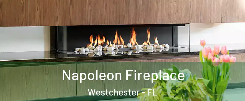  Napoleon Fireplace Westchester - FL