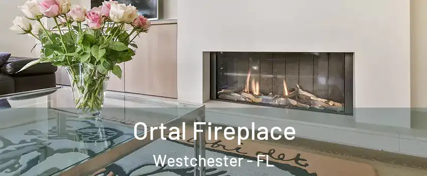 Ortal Fireplace Westchester - FL