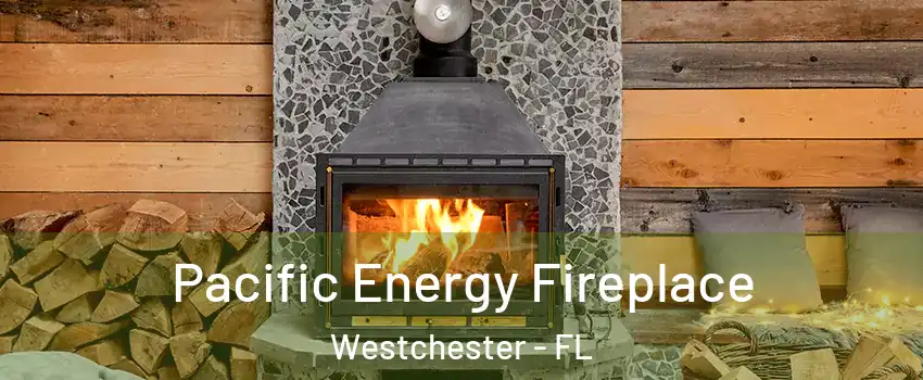  Pacific Energy Fireplace Westchester - FL