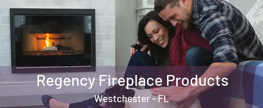  Regency Fireplace Products Westchester - FL