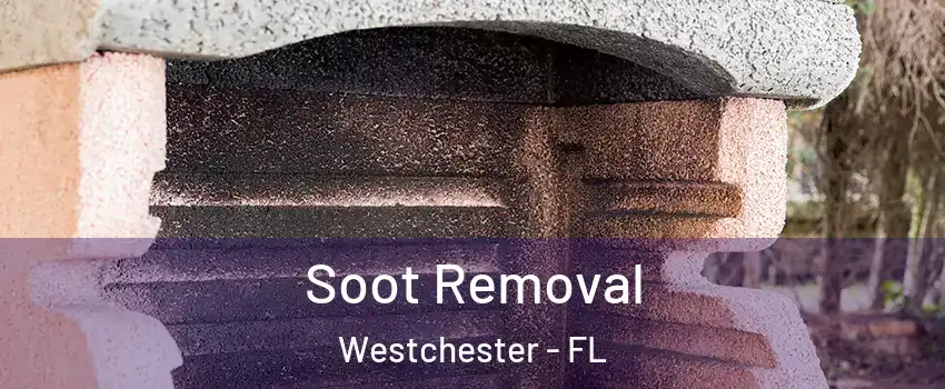  Soot Removal Westchester - FL