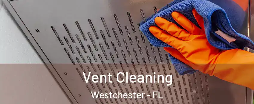  Vent Cleaning Westchester - FL