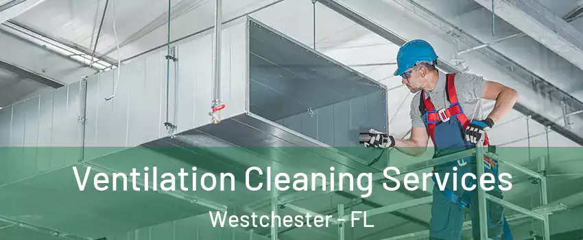  Ventilation Cleaning Services Westchester - FL