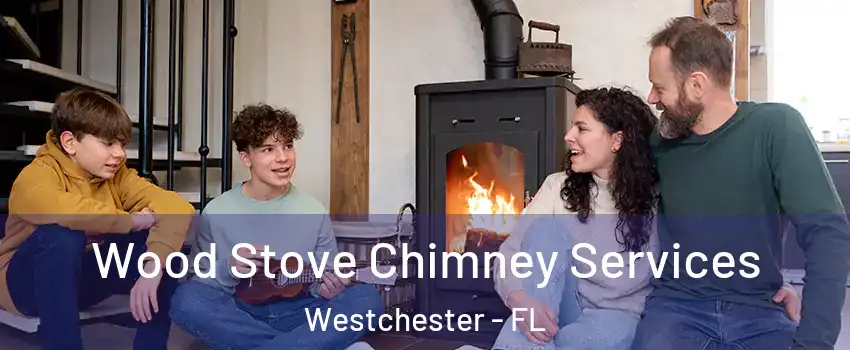  Wood Stove Chimney Services Westchester - FL